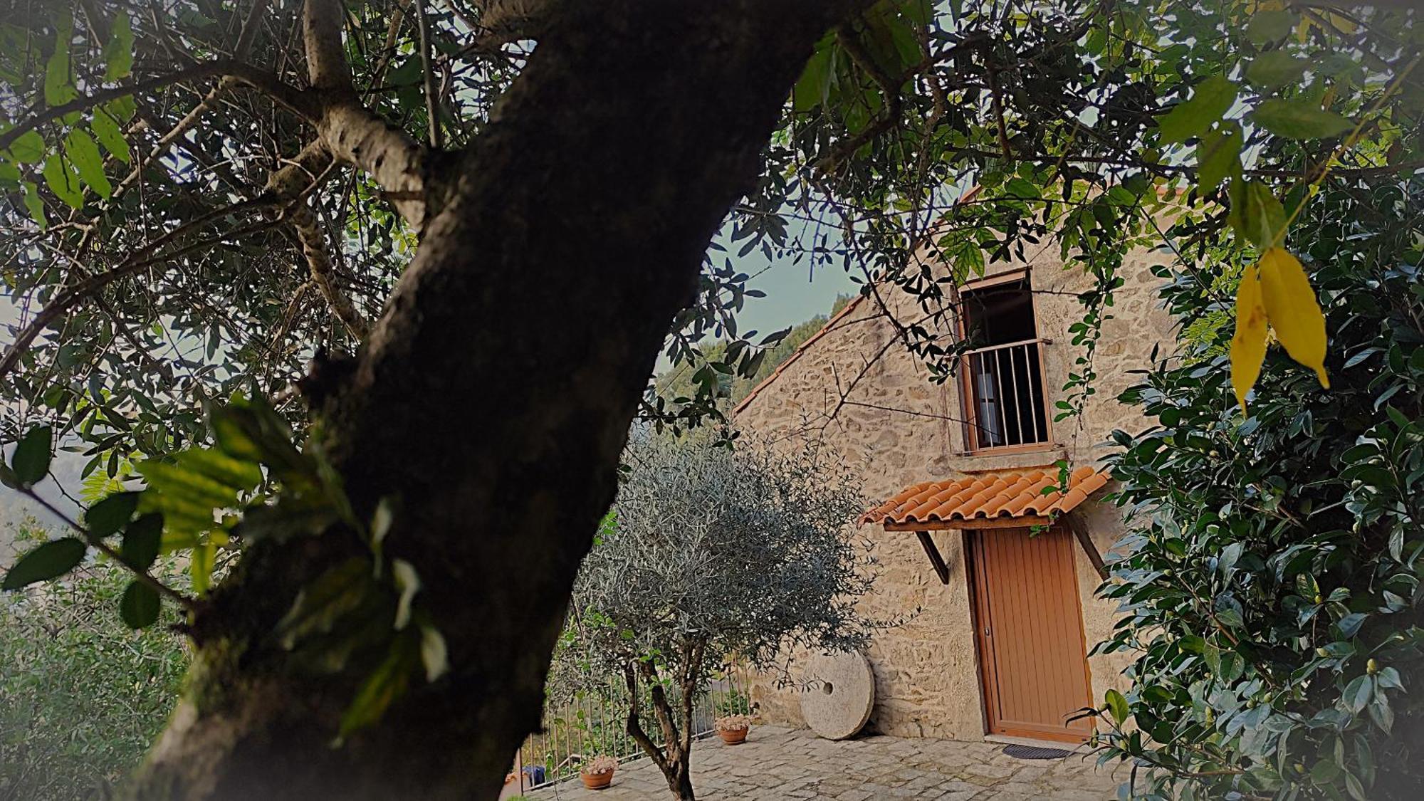 Villa Quinta Da Costeira à Sever do Vouga Extérieur photo