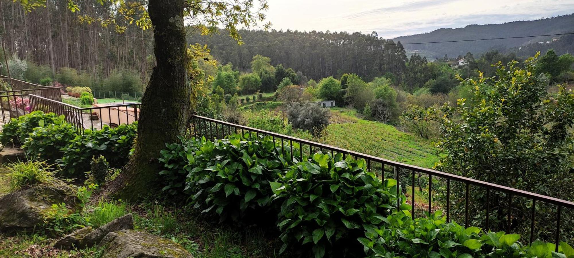 Villa Quinta Da Costeira à Sever do Vouga Extérieur photo