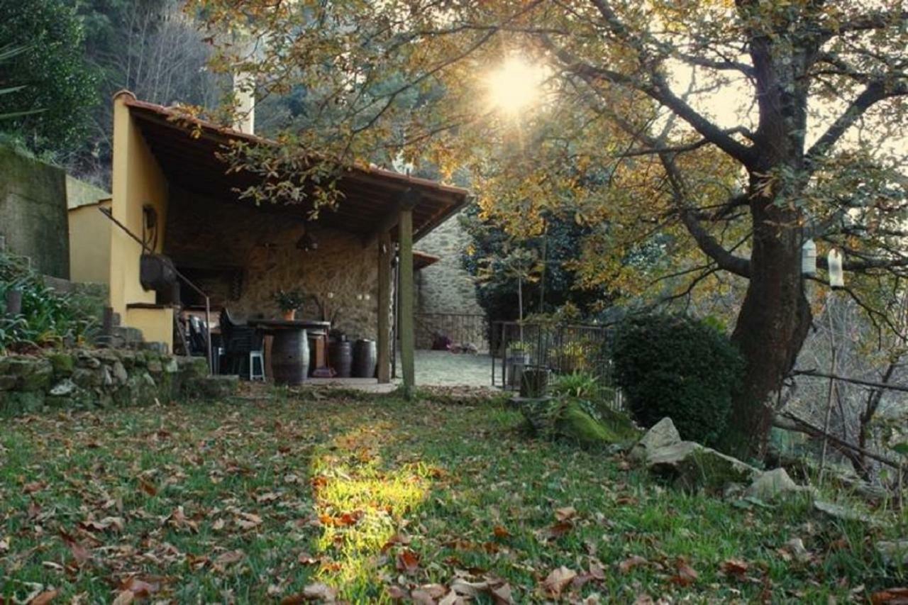 Villa Quinta Da Costeira à Sever do Vouga Extérieur photo