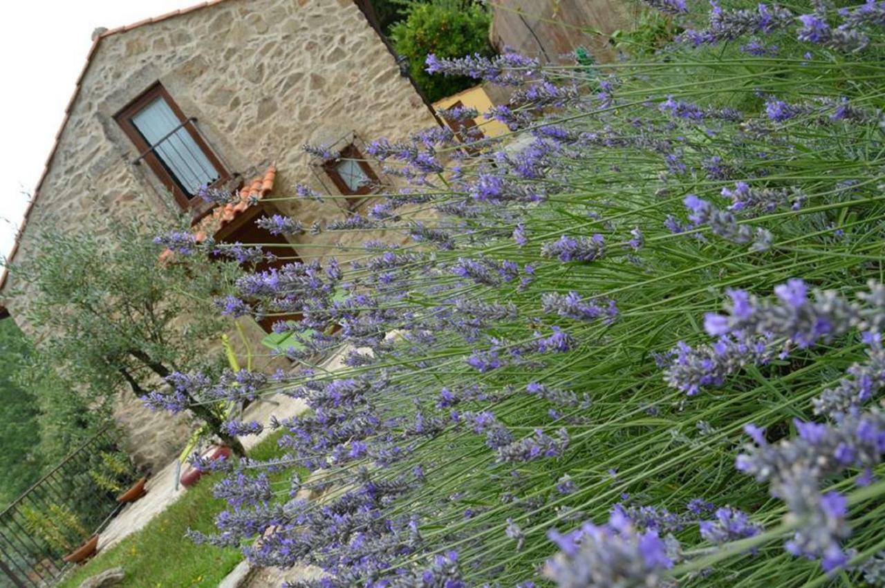 Villa Quinta Da Costeira à Sever do Vouga Extérieur photo