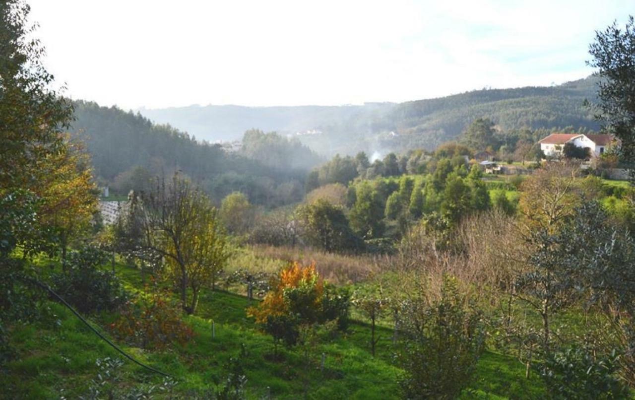 Villa Quinta Da Costeira à Sever do Vouga Extérieur photo