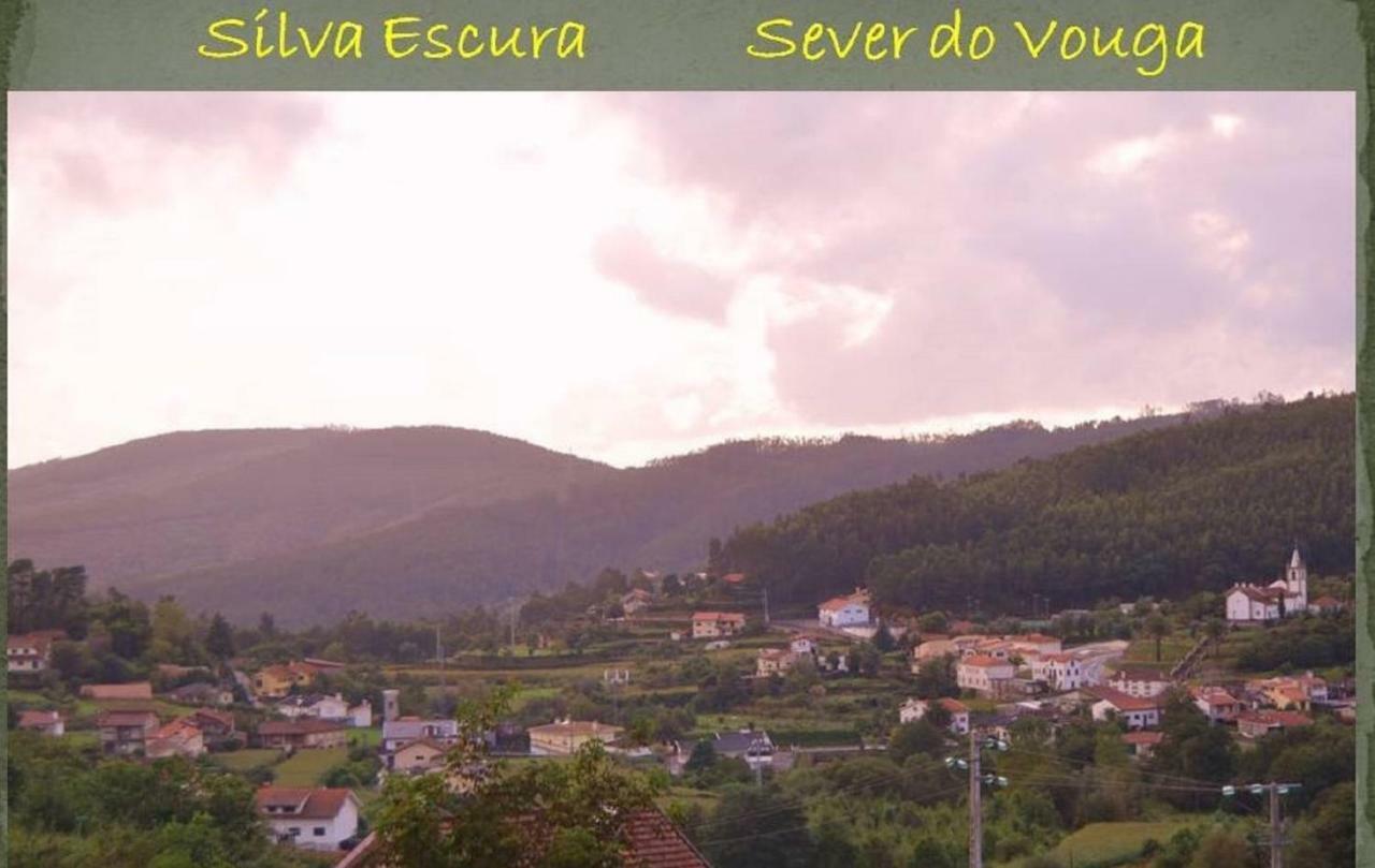 Villa Quinta Da Costeira à Sever do Vouga Extérieur photo