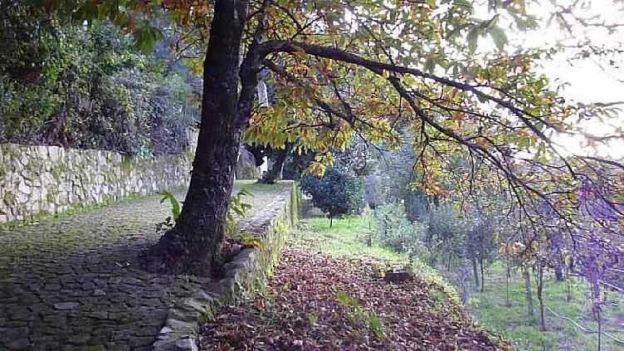 Villa Quinta Da Costeira à Sever do Vouga Extérieur photo