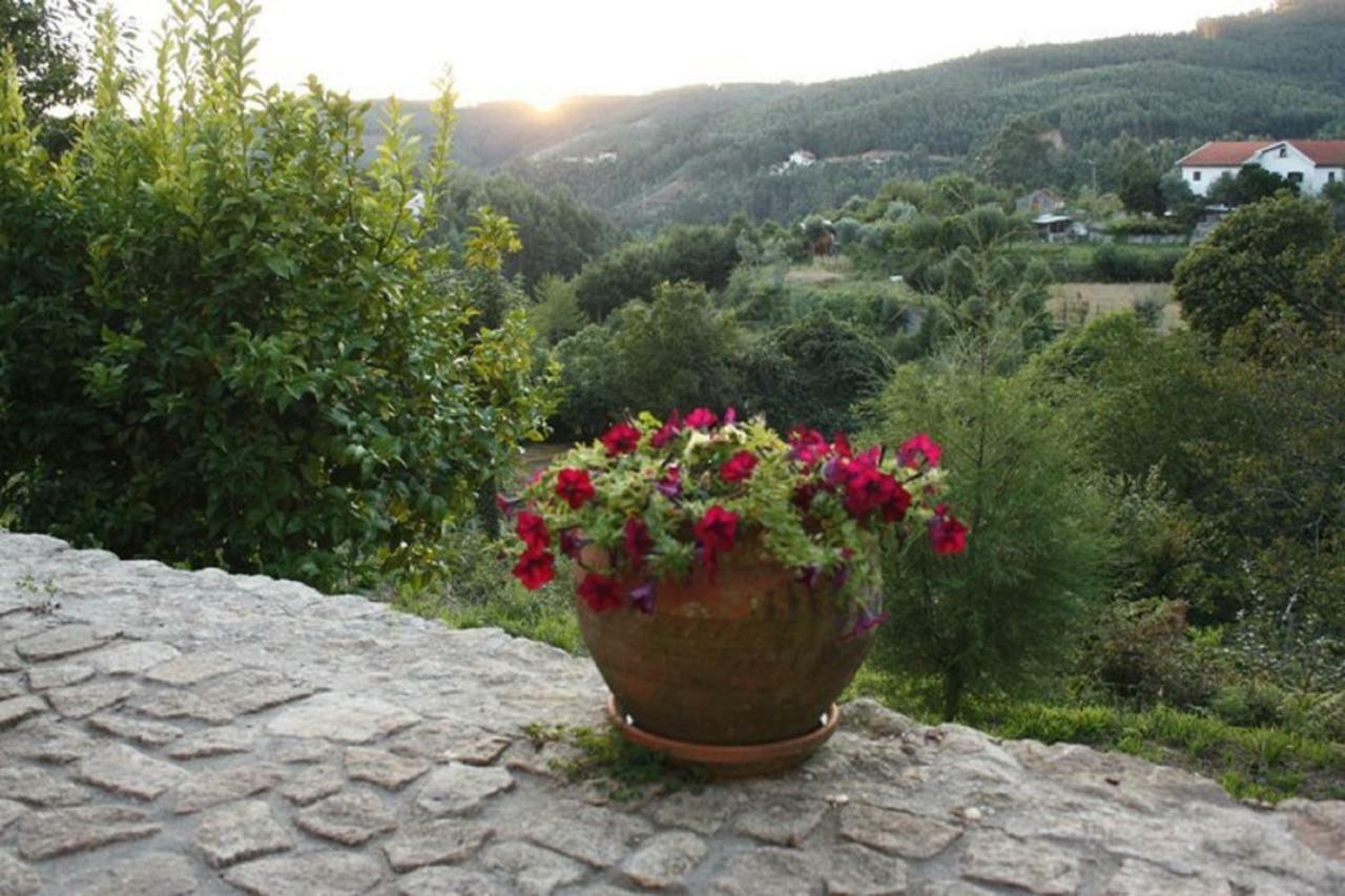 Villa Quinta Da Costeira à Sever do Vouga Extérieur photo