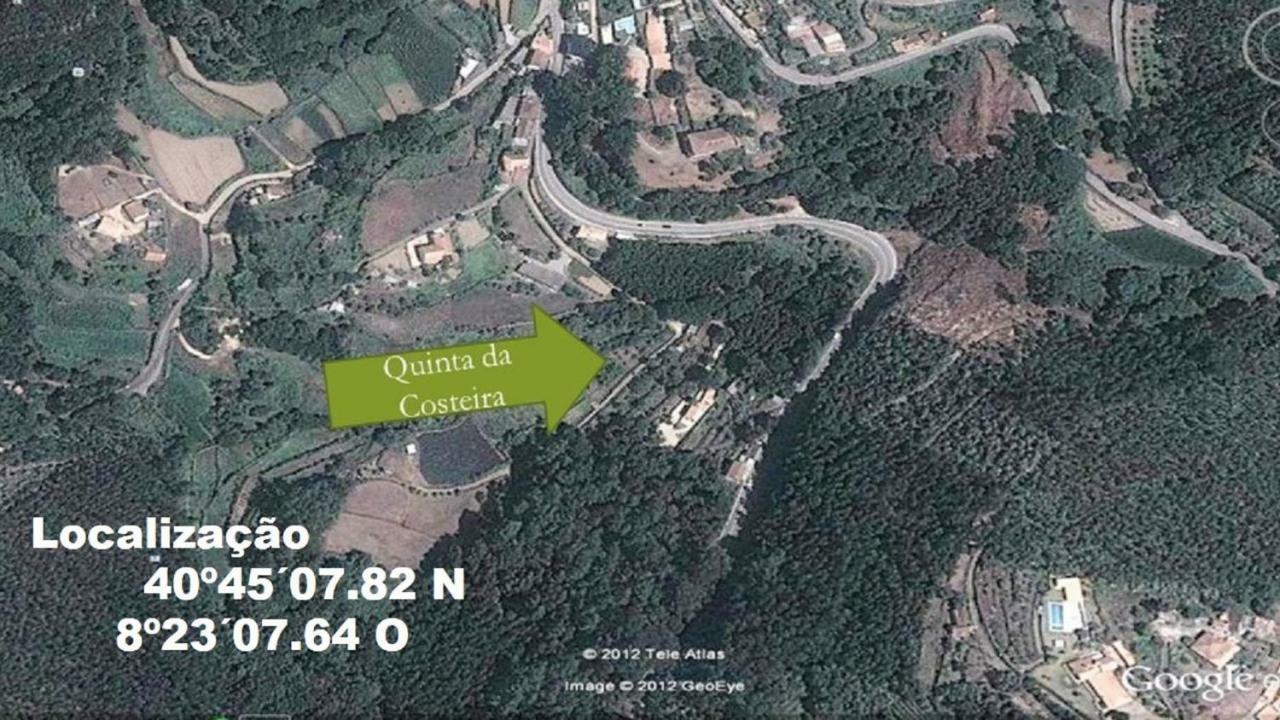 Villa Quinta Da Costeira à Sever do Vouga Extérieur photo